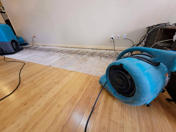 Professional Emergency Water Damage technician working in Thonotosassa, FL
